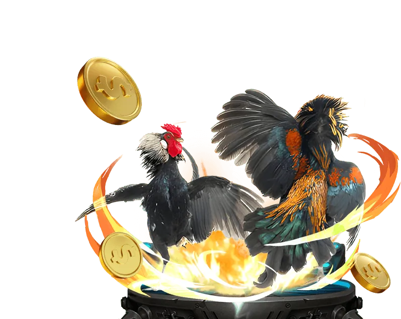 Lợi ích khi chọn Win2026 để chơi đá gà trực tuyến